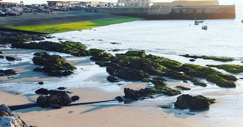 High angle view of rocks on beach