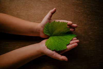 Low section of woman holding leaf on table