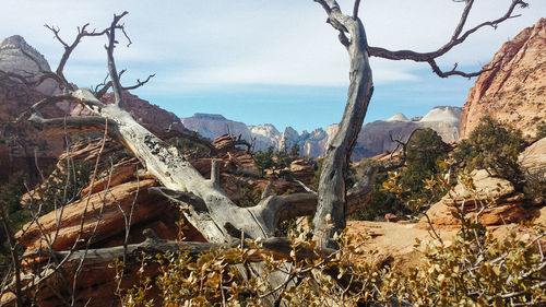 Scenic view of mountain against sky