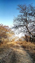 Road passing through landscape