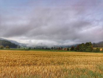 Scenic view of agricultural field against sky