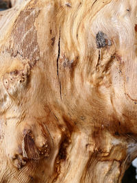 wood
