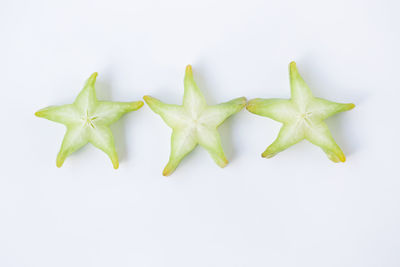 Close-up of chopped leaf against white background