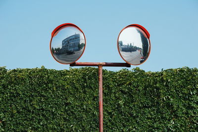 Low angle view of plants against clear sky