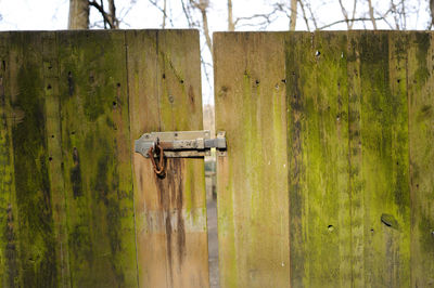 Close-up of closed doors