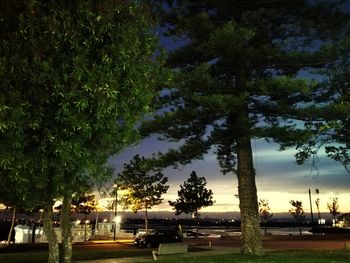 Cars on road by trees against sky during sunset