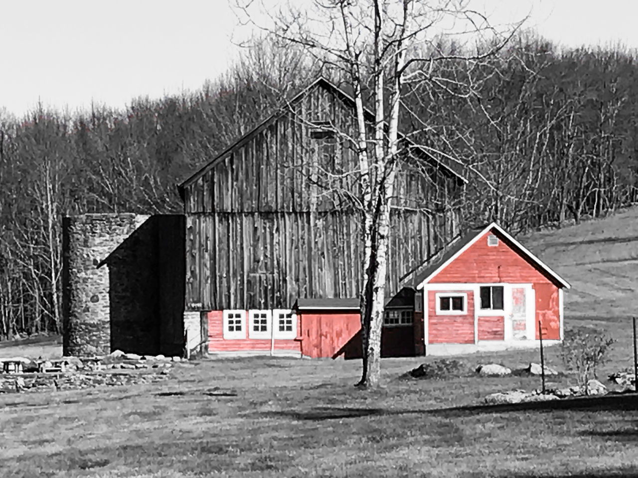 VIEW OF WOODEN HOUSE AND BARE TREES