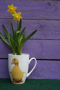 Close-up of flower vase on table