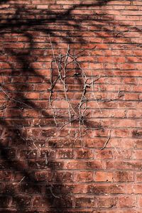 Full frame shot of brick wall