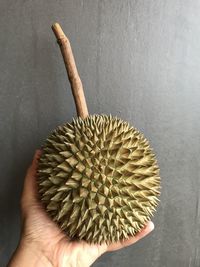 Close-up of hand holding apple against wall