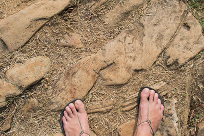 Low section of person standing on beach