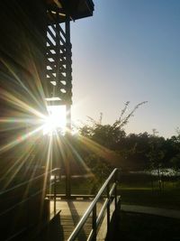 Sun shining through trees in park