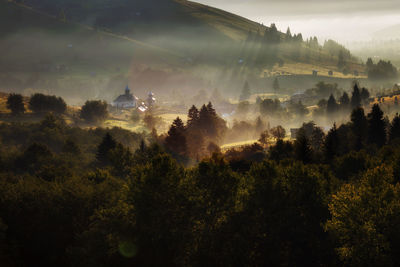 Panoramic view of trees on landscape against sky