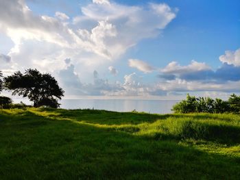 Scenic view of field against sky