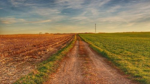 Scenic view of agricultural field against sky during sunset