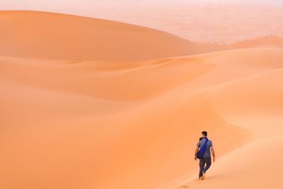 Rear view of man walking in desert