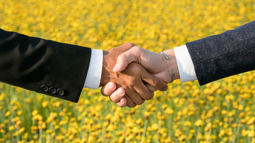 Cropped image of colleagues shaking hands over field