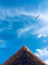 Low angle view of seagull flying against sky