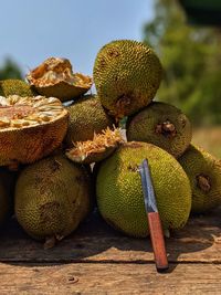 Close-up of jackfruits kept for sale