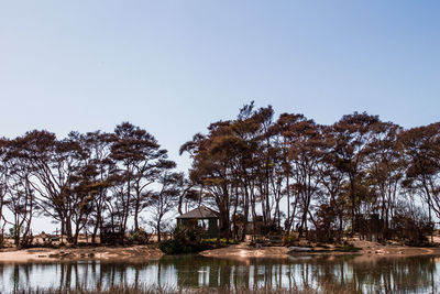 Trees by lake against clear sky