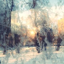 Full frame shot of tree