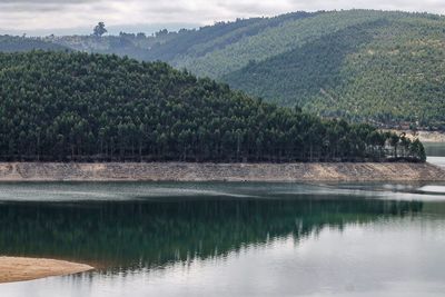 Scenic view of river in forest against sky