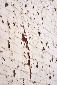 Full frame shot of brick wall