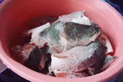 High angle view of fish in bowl