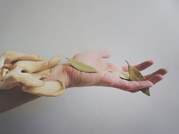 Hand holding mushrooms and leaves