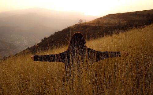 Rear view of woman with arms outstretched standing amidst plants on field during sunset