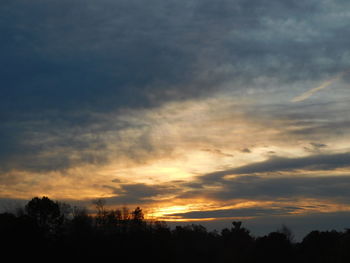 Low angle view of silhouette trees against sky during sunset