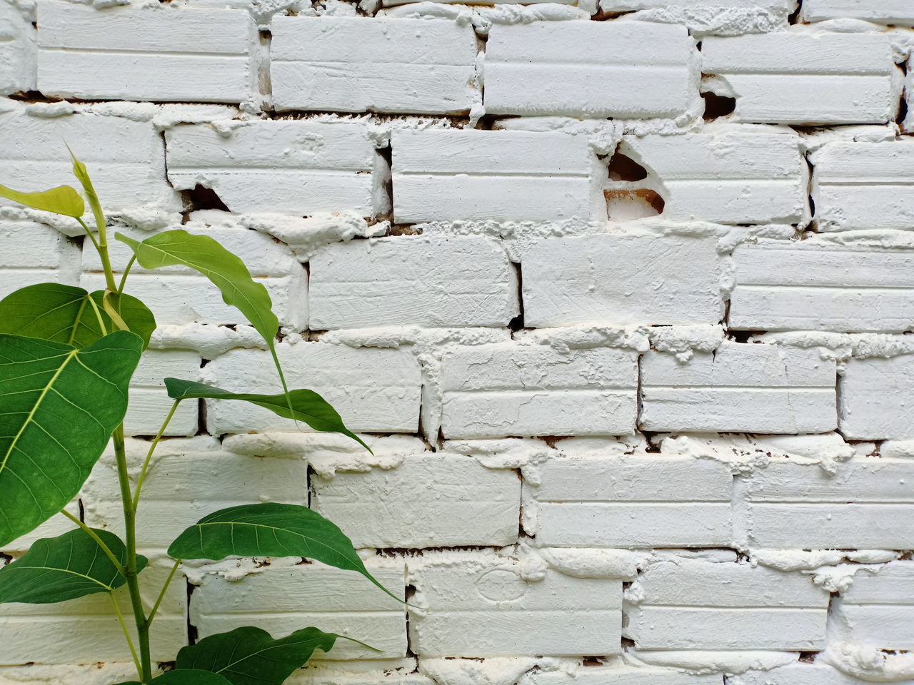 FULL FRAME SHOT OF STONE WALL