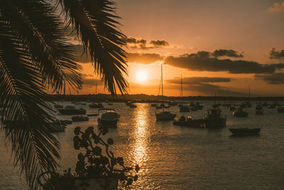 Silhouette palm trees by sea against sky during sunset