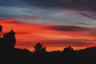 Silhouette trees against dramatic sky during sunset