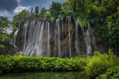 Scenic view of waterfall in forest