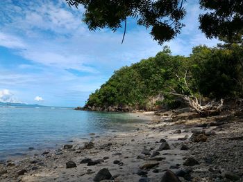 Scenic view of sea against sky