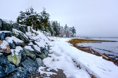 Scenic view of snow covered trees against sky