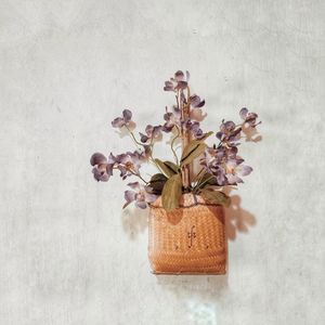 Close-up of flowering plant against wall