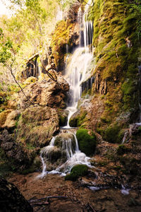 Scenic view of waterfall in forest