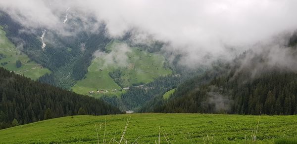 Scenic view of landscape against sky during foggy weather