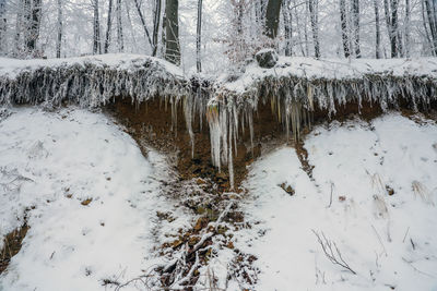 Mountain landscapes in winter with frozen trees and snow