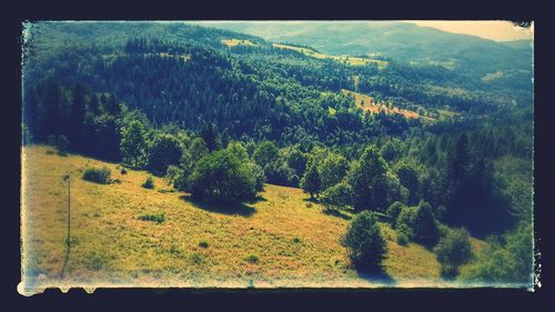 Scenic view of landscape