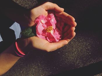 Midsection of person holding pink flower on road at night
