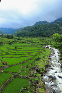 Scenic view of landscape against sky