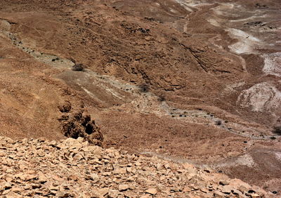 soil