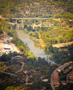 High angle view of trees and buildings in city