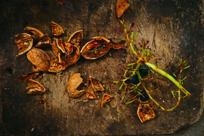 High angle view of dry leaves on wood