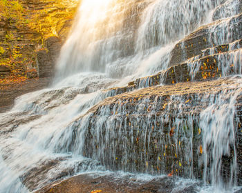 Scenic view of waterfall in forest