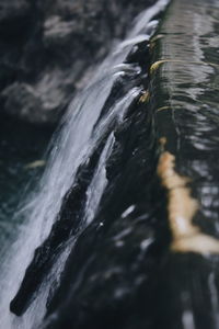 Close-up of water flowing through rocks