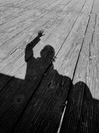 Shadow of people on boardwalk